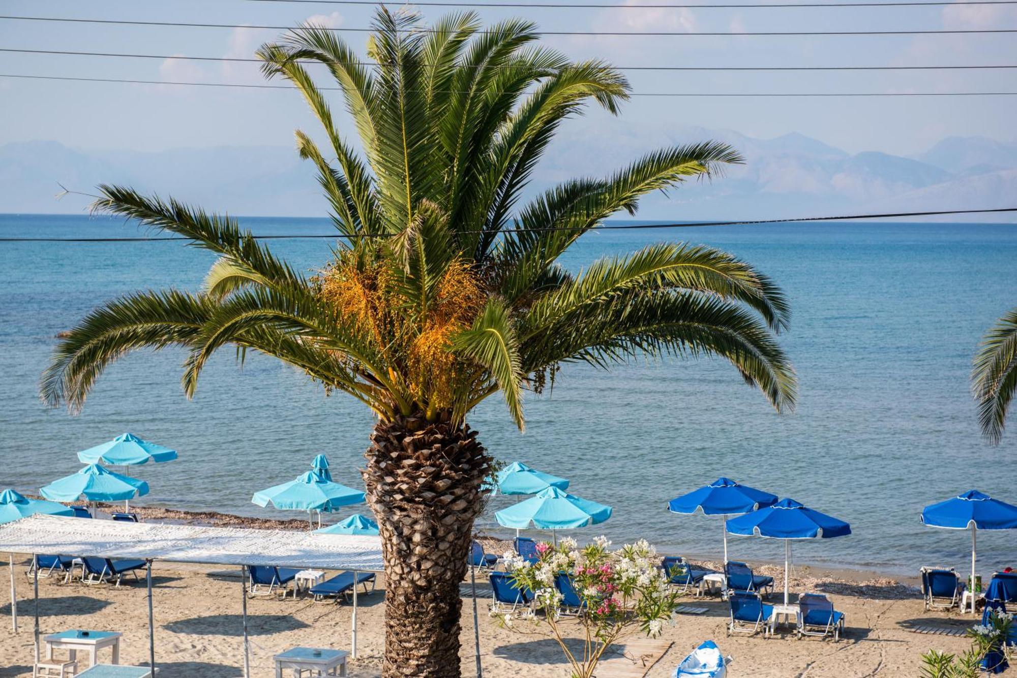 Aphrodite Corfu